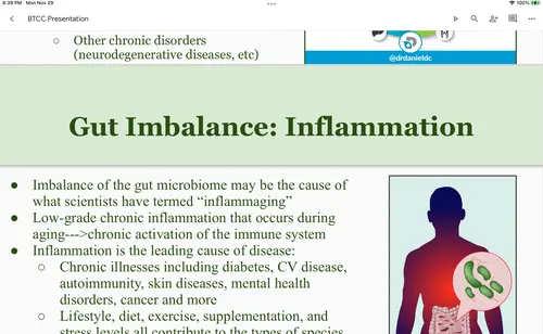 immune-system-img2
