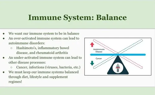 immune-system-img3