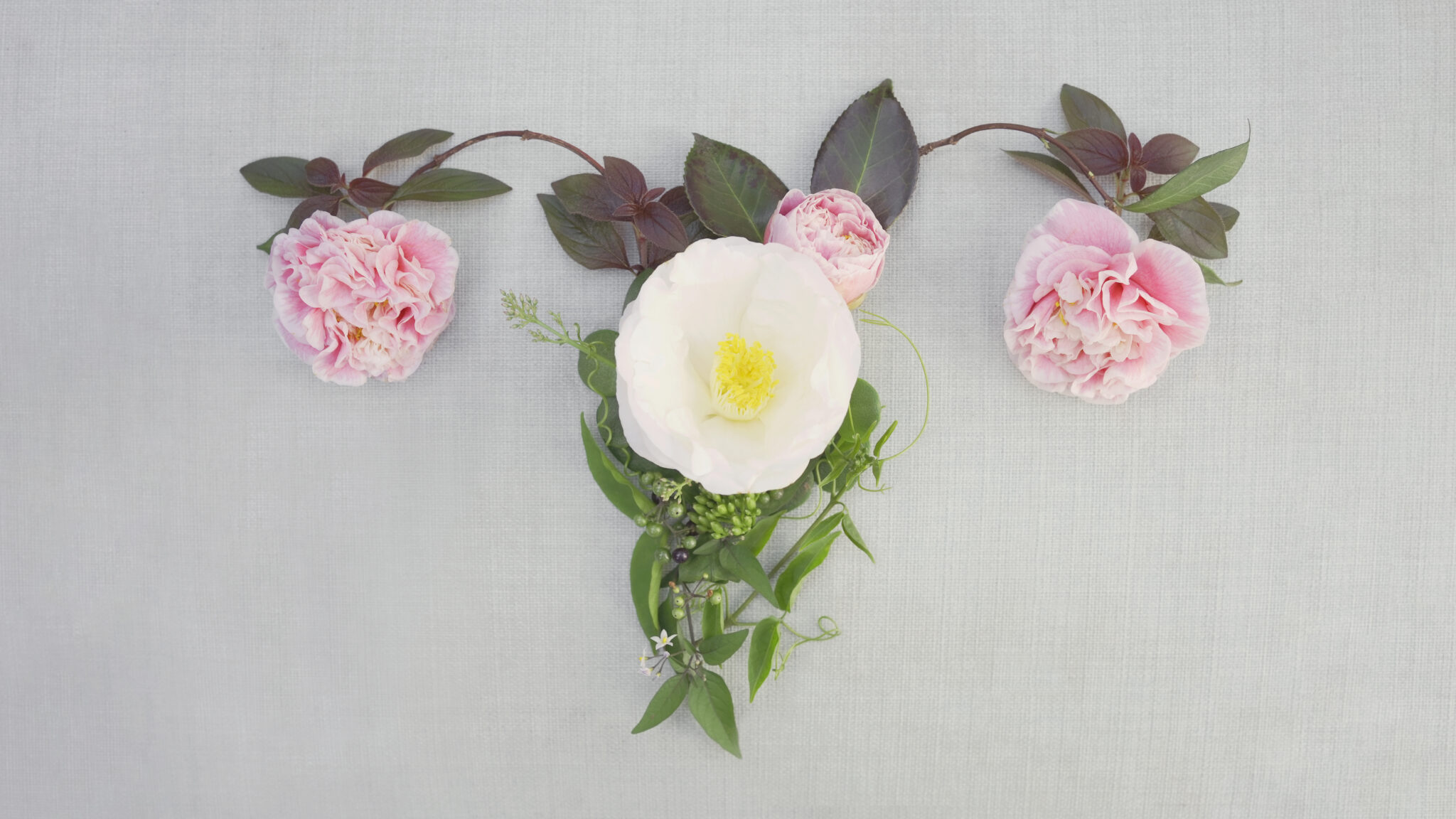 1 Best Hormone Health Specialist in Ridgefield Terrain Health