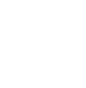 Icon5